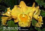 Rlc. Marion Smith_4639