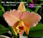 Rlc. Marlene Lundquist 2869