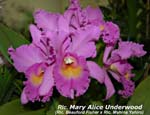Rlc. Mary Alice Underwood_4294