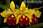 Rlc. Mem John Odom _Carmela_5557