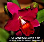 Rlc. Mem. Irene Fell_8523