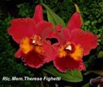 Rlc. Mem. Therese Fighetti_8813