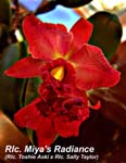 Rlc. Miyas Radiance _5759