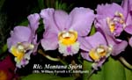 Rlc. Montana Spirit _5089