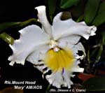 Rlc. Mount Hood 'Mary' AM_AOS_5577