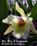 Rlc. Mrs. J. Leemann _7132