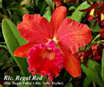 Rlc. Regal Red _4849