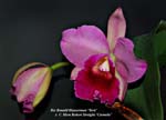 Rlc. Ronald Hauserman x C. Memoria Robert Straight_4468
