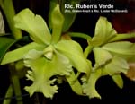 Rlc. Ruben s Verde_1671