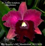 Rlc. Rugleys Mll _Mendenhall HCC_AOS 2437