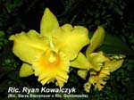 Rlc. Ryan Kowalczyk_8809