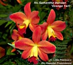 Rlc. Samantha Duncan_4329