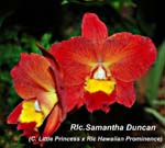 Rlc. Samantha Duncan_9048