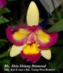 Rlc. Shin Shiang Diamond_4726