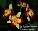 Rlc. Shin Shiang Diamond_8821