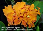 Rlc. Spanish Eyes_4377