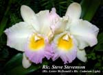 Rlc. Steve Stevenson _2727