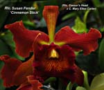 Rlc. Susan Fender _7476