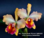 Rlc. Toshie Aoki AM_AOS x Rlc. Lawless Zauberflote_0711
