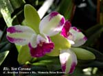 Rlc. Yen Corona_6762