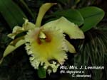 Rlc.. Mrs J Leeman_5597