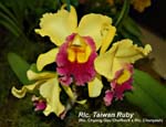 Rlc.. Taiwan Ruby _4319