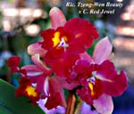 Rlc.. Tzeng-Wen Beauty x C. Red Jewel_0381