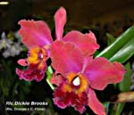 rlc. Dickie Brooks_4713